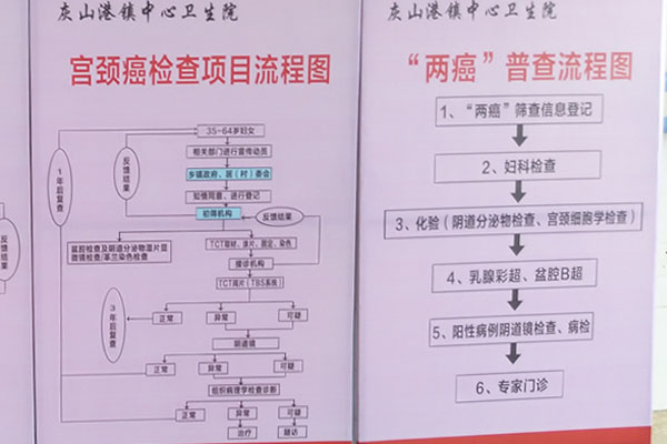 (图3)