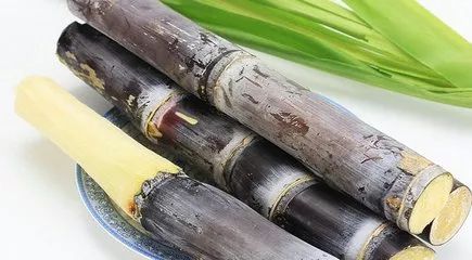 生活中，你不得不知道的10个健康小常识(图10)